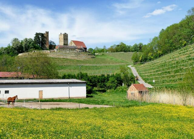 Burg Neipperg I