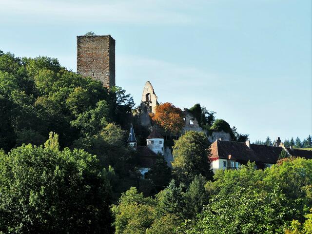 Burg Ehrenberg