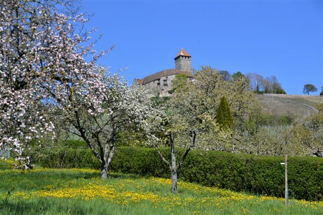 Burg Lichtenberg bei Oberstenfeld