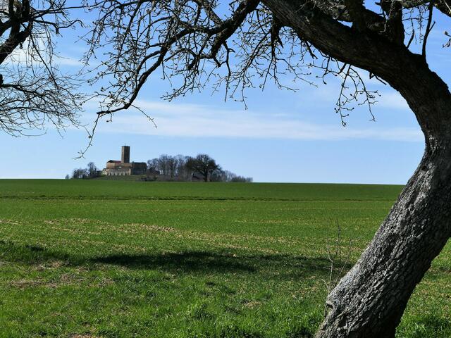Burg Steinsberg
