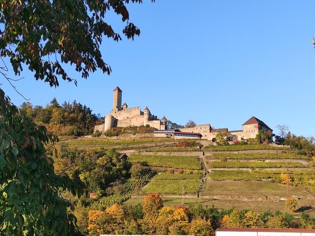Burg Hornberg
