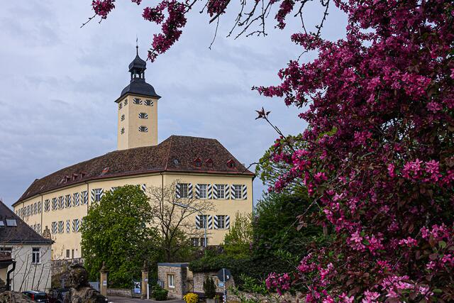 Schloss Horneck