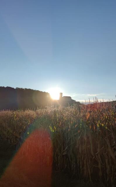 Burg Guttenberg Sonnenuntergang