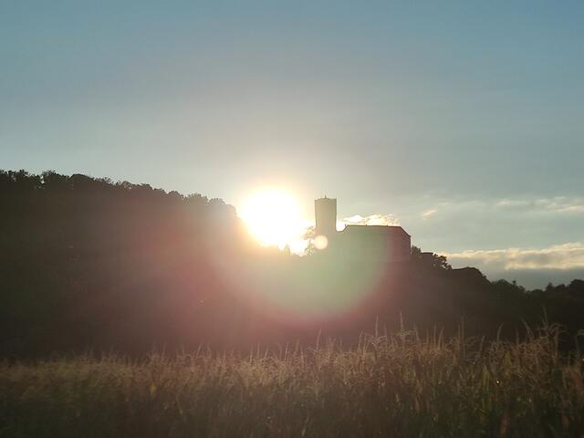 Burg Guttenberg