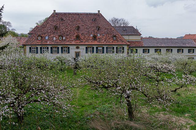 Schloss Heinsheim