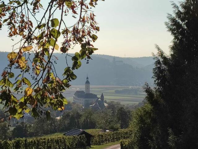Schloss Horneck und Burg Guttenberg (Hintergrund)