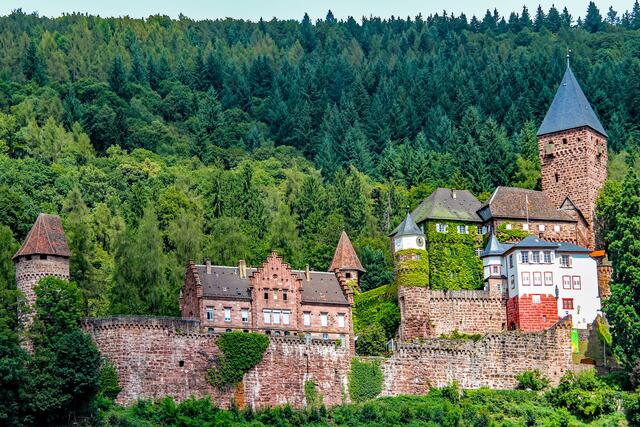 Burg Zwingenberg im Neckartal