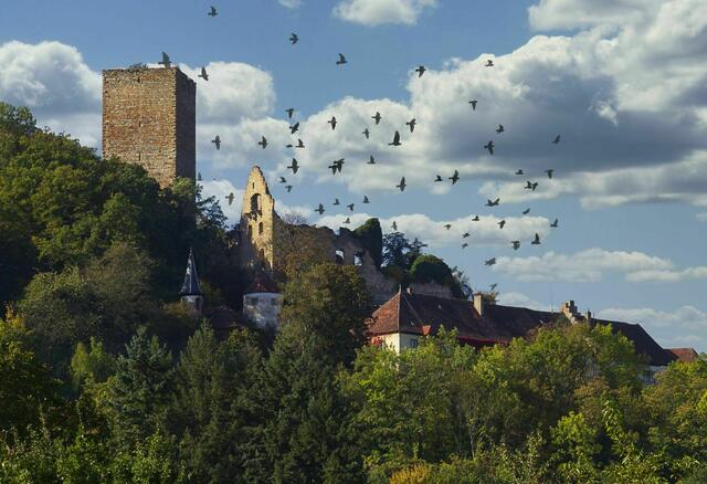 Burg Ehrenberg