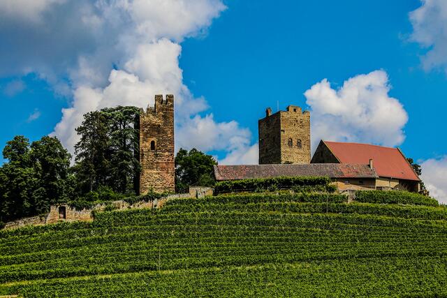 Burg Neipperg Im Zabergäu