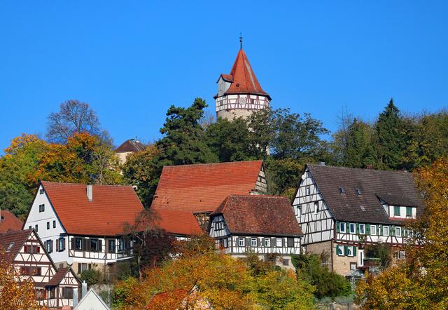 Die Burg über Möckmühl