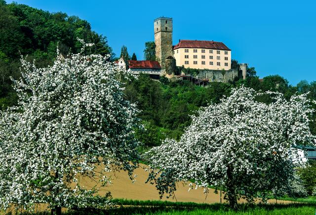 Burg Guttenberg bei Haßmersheim