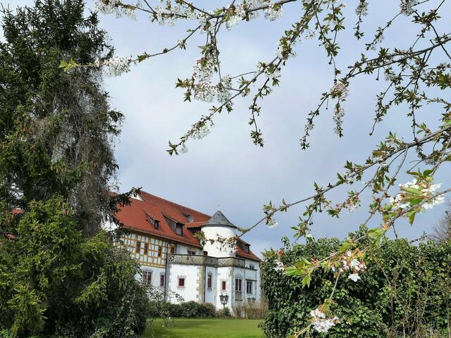 Schloss Liebenstein