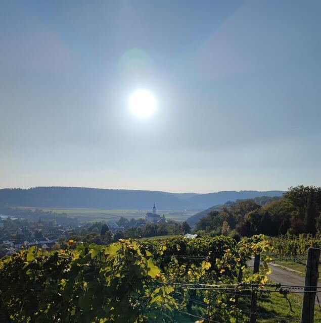 Schloss Horneck und im Hintergrund Burg Guttenberg