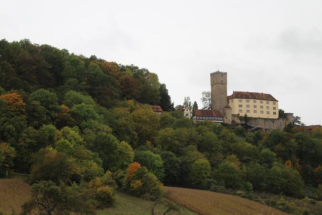 Burg Guttenberg im Herbst