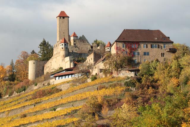 Burg Hornberg Neckarzimmern