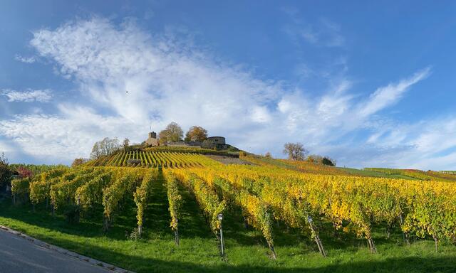 Burg Weibertreu im Herbst