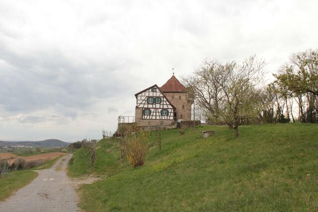 Burg Wildeck