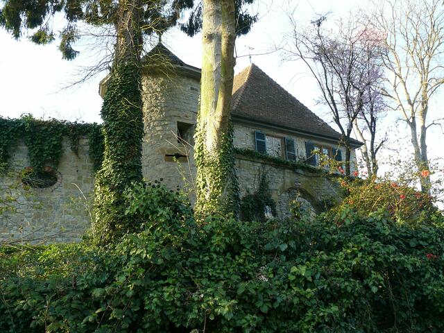 Bautzenschloss Oedheim