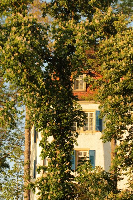 Bautzenschloss Oedheim