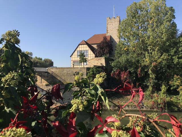 Lauffener Grafenburg