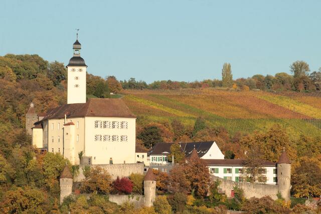Schloss Horneck Gundelsheim