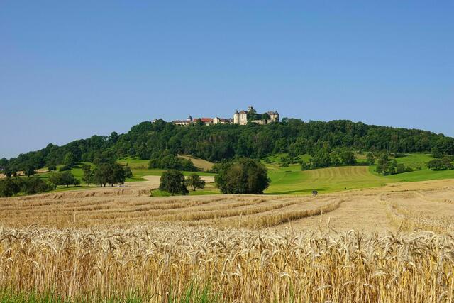 Waldenburg im Sommer