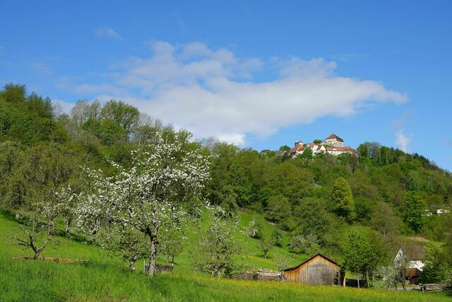 Burg Maienfels