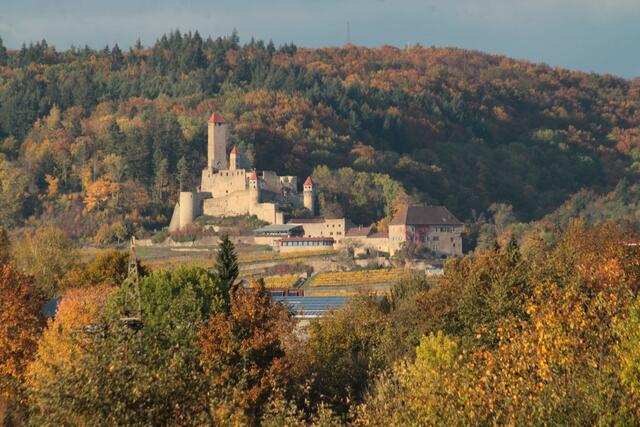 Burg Hornberg Neckarzimmern