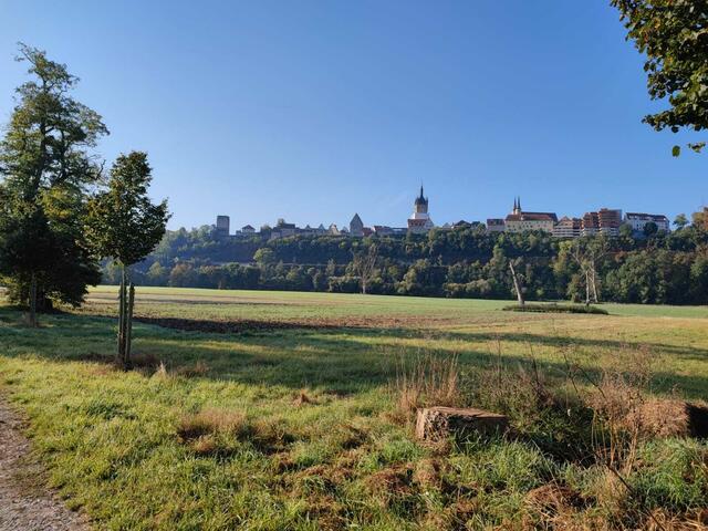 Kaiserpfalz Bad Wimpfen