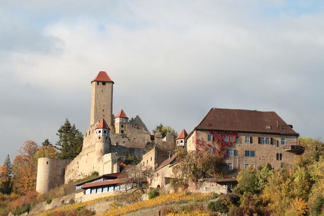 Burg Hornberg Neckarzimmern