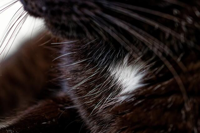 Der Assistent ist immer dabei :-)