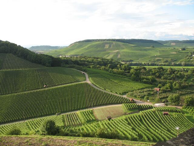 Blick von der Weibertreu