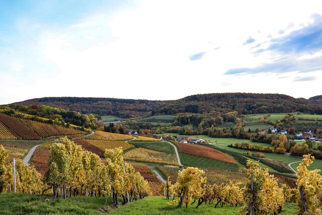 Wein Wege Pfedelbach-Heuholz