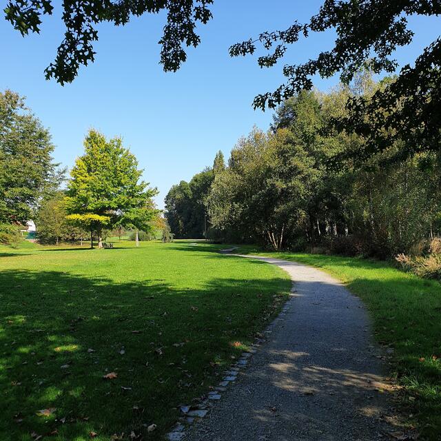 Der Weg durch den Park.