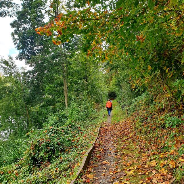 Ein Weg nach meinem Geschmack.
