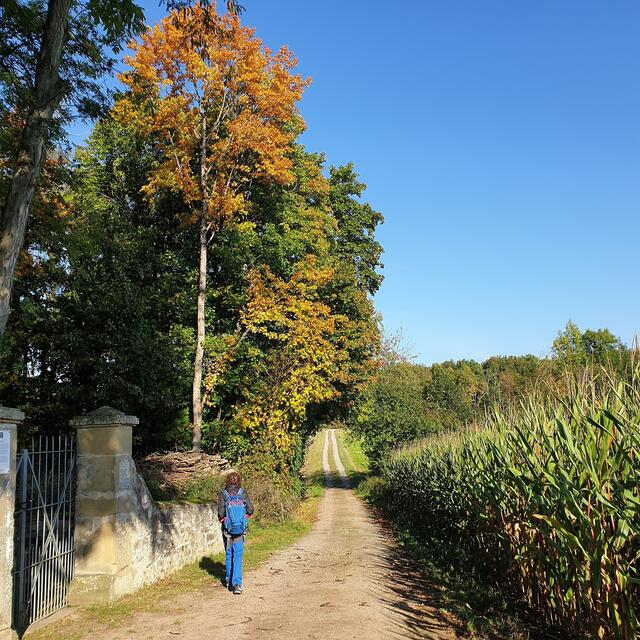 Der Weg am Friedhof vorbei.