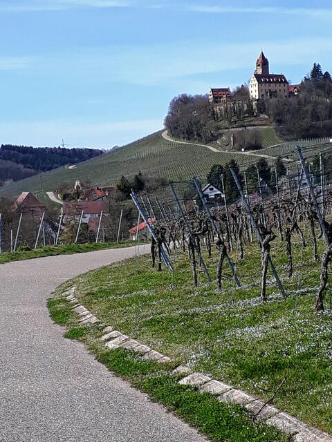 ganz schön langer Weg zum Schloss Stocksberg