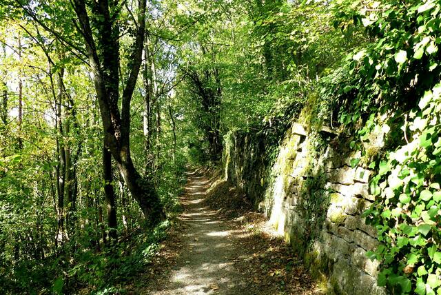 Mein Lieblingsweg bei heissem Wetter