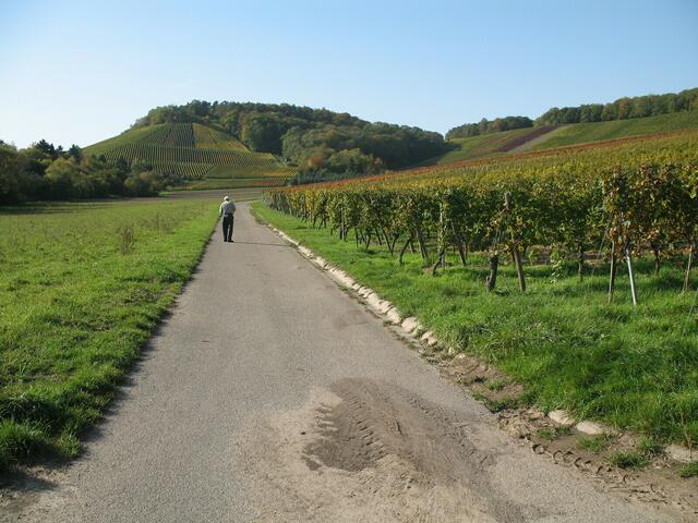 derselbe Weg im Spätsommer