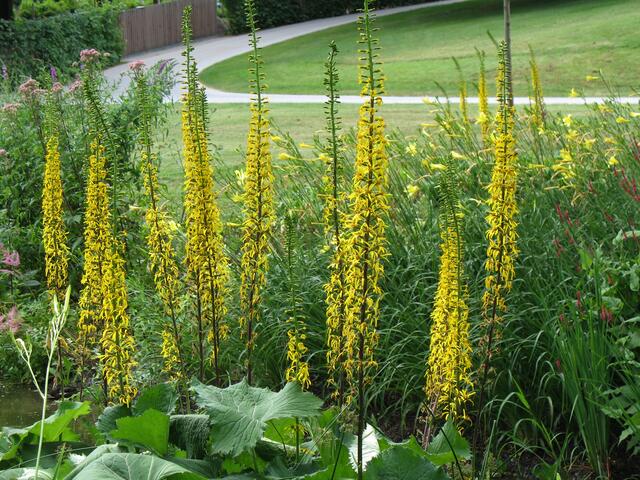 durchs LAGA-Gelände