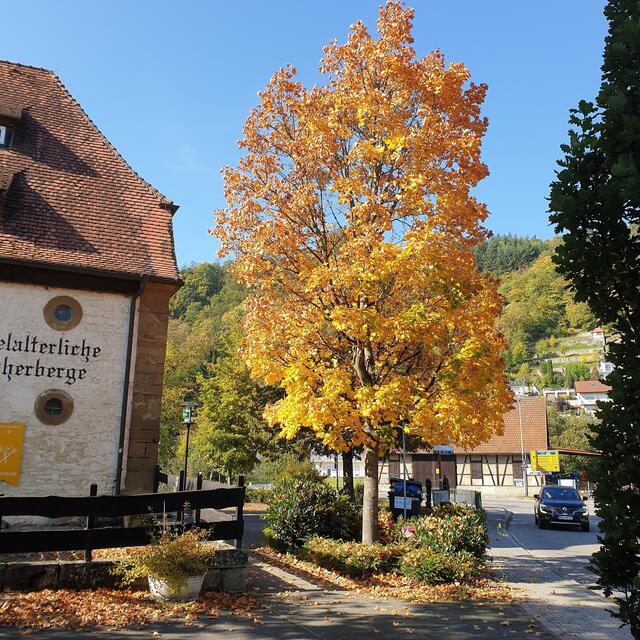 Weg im Herbst durch Neckarmühlbach.