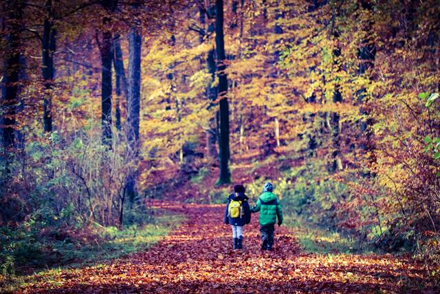 Freunde auf dem Waldweg