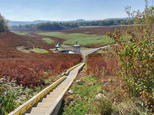 Stauen oder nicht stauen, das ist hier die Frage... (Breitenauer See)
