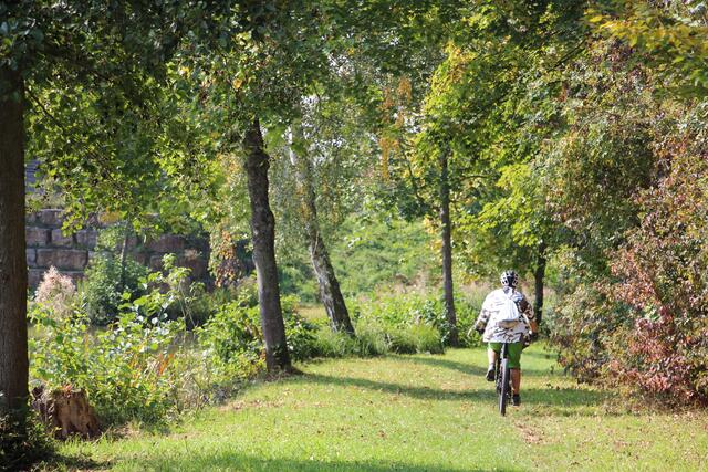 Mit dem Fahrrad um den Fleiner See auf schmalem Pfad