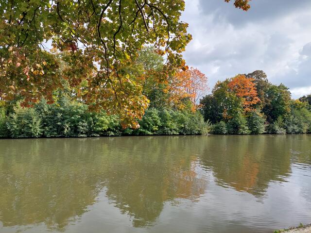 Wie Farbtupfer leuchten die Herbstfarben zwischen den grünen Bäumen.