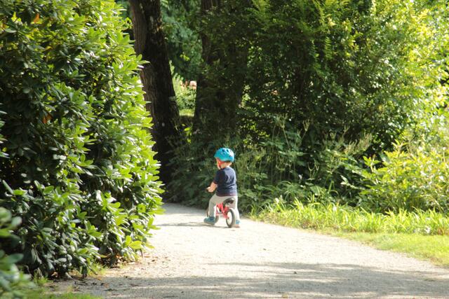 kleiner Mann, wohin fährst du?