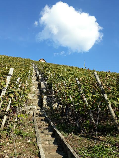 Schönwetterwolke überm Stäffele