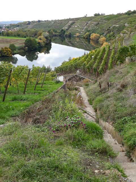 Ab-/Aufstieg zur Kirchheimer Weinterrasse