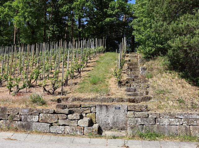 Steintreppen im Weinberg
