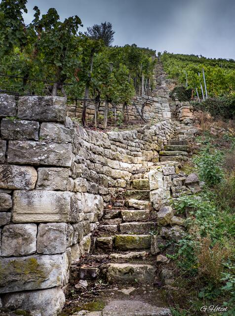 Der Weg wird kein leichter sein.....